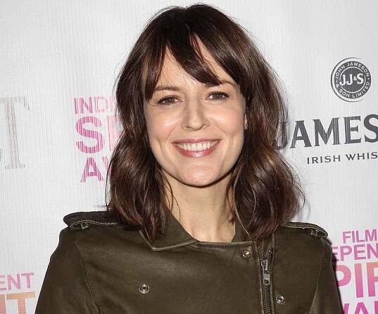 Rosemarie DeWitt Biography - Facts, Childhood, Family Life & Achievements