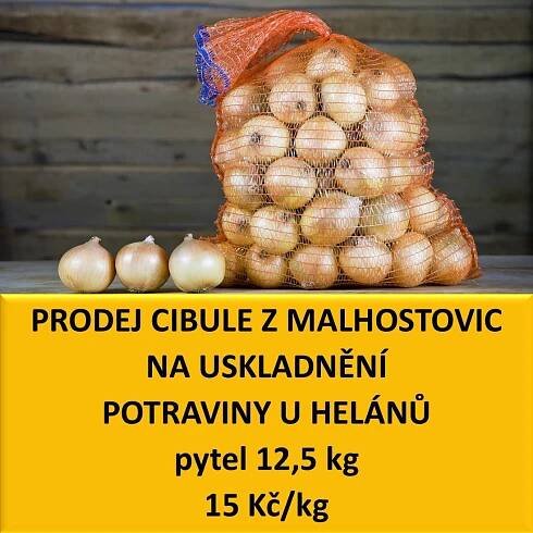cibule čtverec.jpg