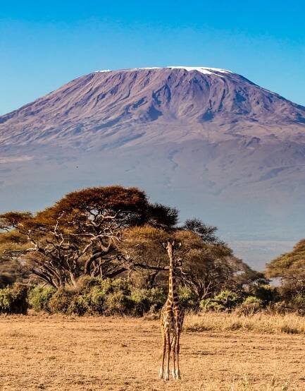Travel for the Highest and lowest point of Ethiopia - Anbessa Travel