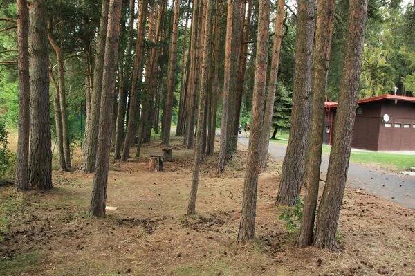Camping La Provence foto 4