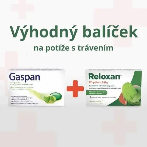 Reloxan Mint žvýkací 16 tablet + GASPAN enterosolventní tobolky 14 ks | Alphega.cz