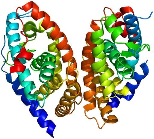 Retinoic acid receptor alpha
