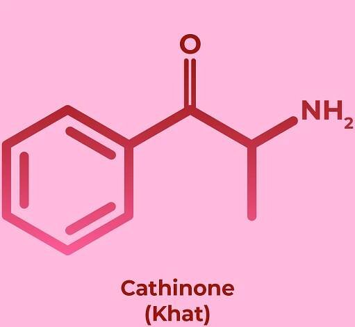 Mephedrone toxicity: most important to you