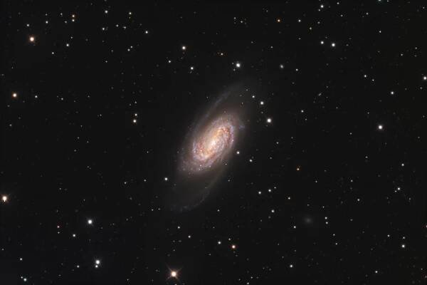 Jim Morse Astronomy