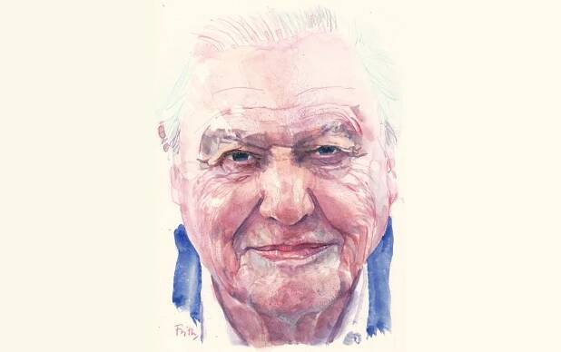 33099677-Illustration of Sir David Attenborough by Michael Frith Title: The Sunday Times Date: 08. 05. 2016 Page 32