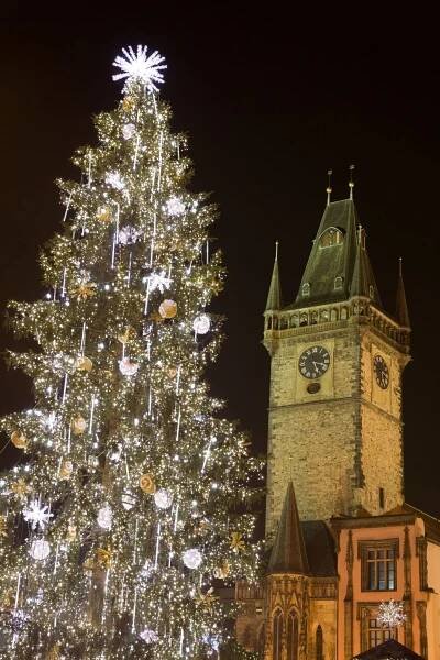 Vánoční strom Praha - 2008 - GALERIE: Vánoční stromy v Praze (3/7)