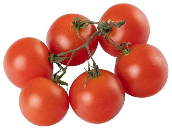 Cherry Tomato Seedling, (Available Early Spring)Lettuce Grow