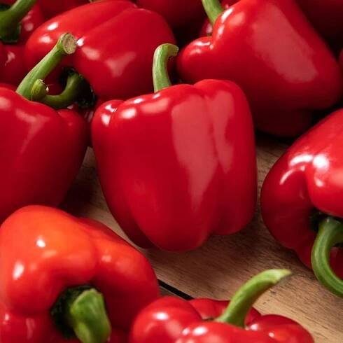 Paprika Sladká Červená Kaskáda tunel tvar blok semena zeleniny