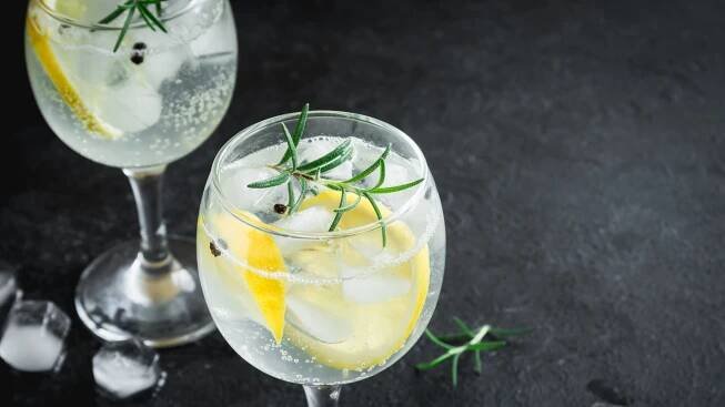 NEJLEPŠÍ GIN: Přehledné srovní a recenze TOP 15 ginů v roce 2022