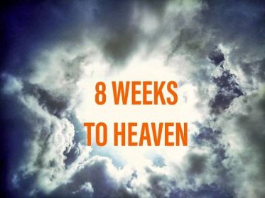 8 Weeks to Heaven - Matt Crump - Board Certified NLP Practitioner-Hypnotherapist-Life and Business Coach