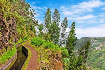 Stáhnout - Madeira, pěší podél zavlažovacích kanálů — Stock obrázek