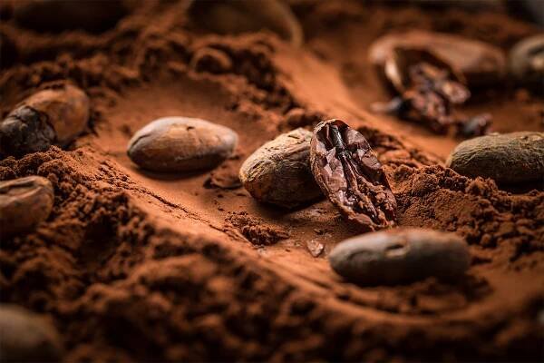 Global Cocoa Supply Crisis Leaves Chocolate Makers Scrambling