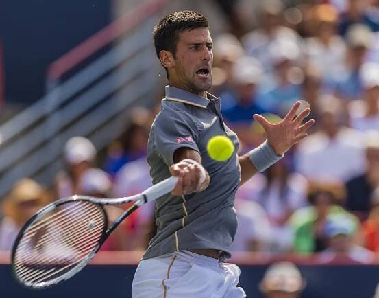 Tenista Djokovič počtvrté ovládl Wimbledon