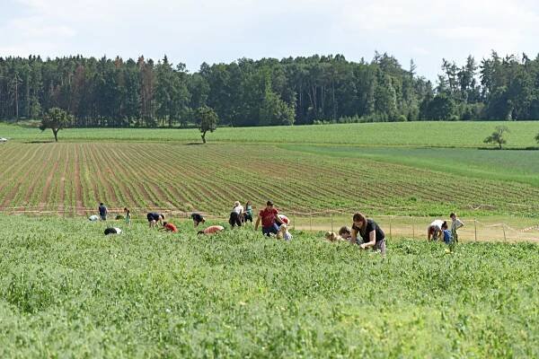 Farma u Miklasů - Jihočeská tržnice