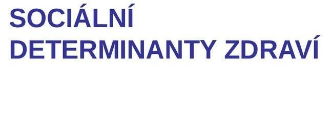 Veřejné zdravotnictví - online presentation