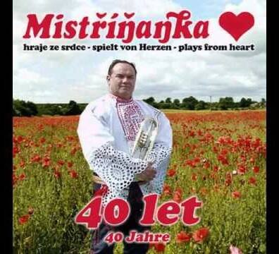 Vyletěl sokolík