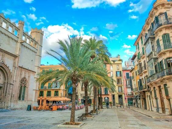 a square with a row of palm trees in the middles and lovely buildings on all sides, Can Coll on Llotja Square in Palma de Mallorca, Spain