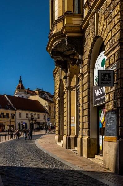 Mediterrán hangulatú séta a Mecsek lábánál – Pécs – GOGOGO.hu