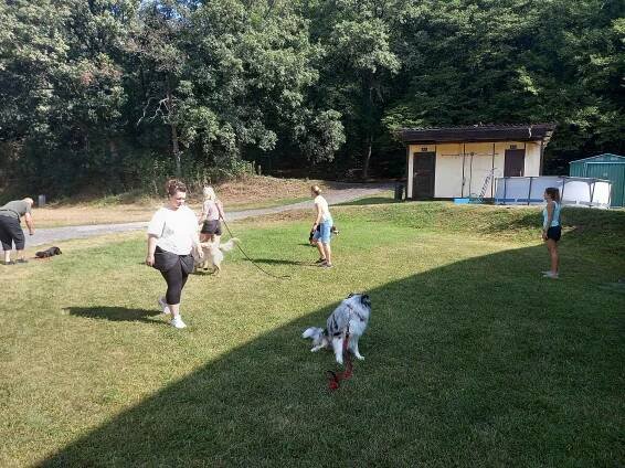 Z návštěvy Dog Academy v Berouně.