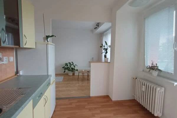 Pronájem bytu 1+1 40 m², Edvarda Beneše, Opava