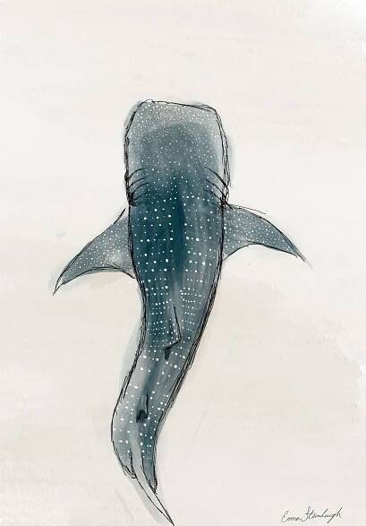 a drawing of a whale's tail with dots on it