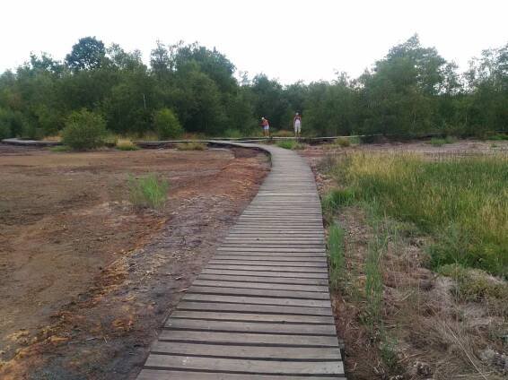 /FOTO, VIDEO/: Všude to syčí a bublá. Rezervace Soos vypadá jako z jiného světa