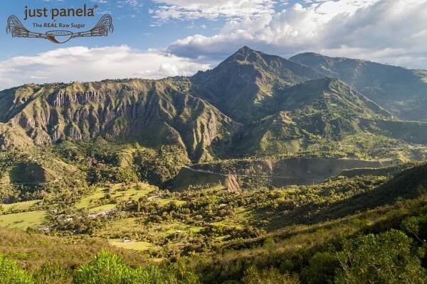 The REAL raw sugar — Just Panela 