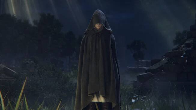 Elden Ring (PS4) - Hry pro PS4 - Obrázek 8LJ9300401