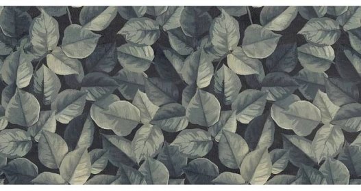Dekor s kalibrací WIDE&STYLE MINI Foliage 60 x 120 cm