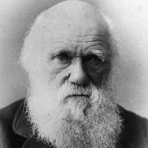 How Charles Darwin Mentally Overachieved his Starting IQ
