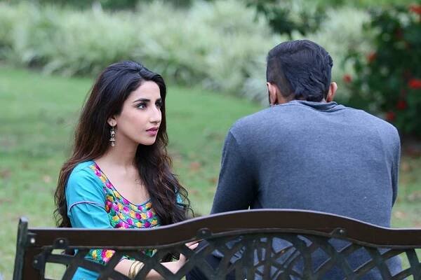Zorawar (2016)