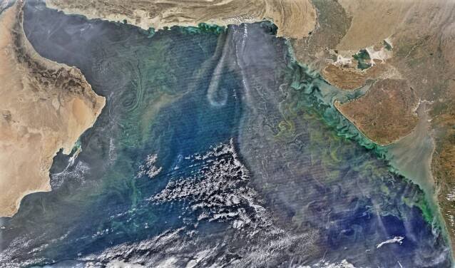 Phytoplankton bloom over the Arabian Sea
