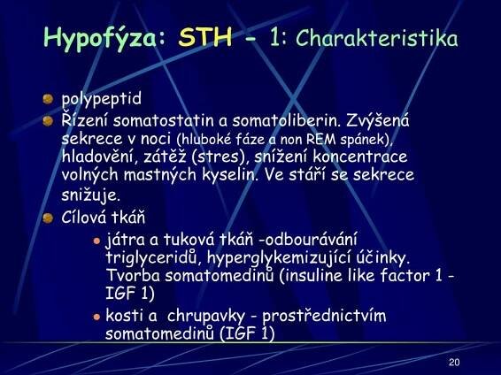 PPT - Endokrinologie PowerPoint Presentation, free download - ID:4797674