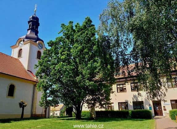 Družec
