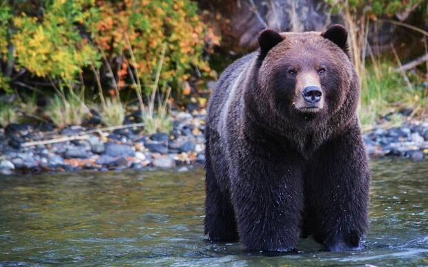 Luxury Retreat | The Chilko Experience Wilderness Resort 