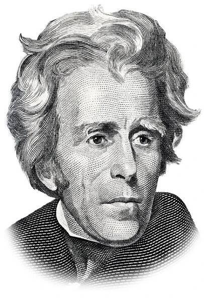 Andrew Jackson royalty free illustration