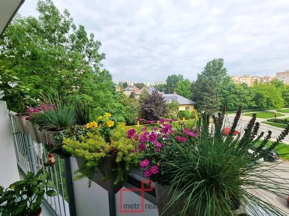 Byt 3+1 na prodej, Olomouc Pionýrská, 65 m² | Realitní kancelář metr2 reality Olomouc