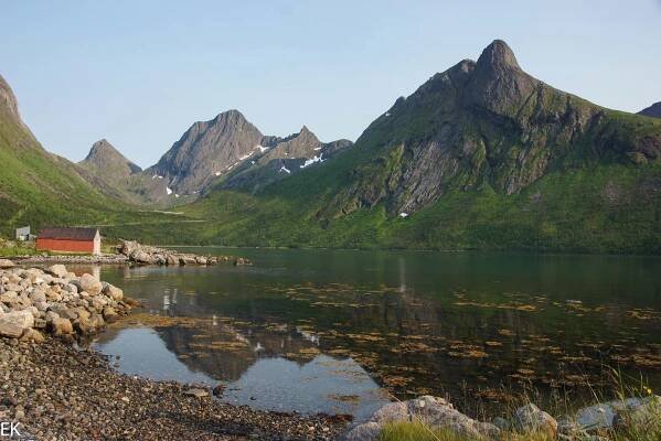 Norwegen | Tauchmaus 
