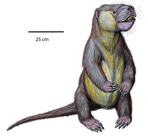 Soubor:Psittacotherium multifragumDB24.jpg – Wikipedie