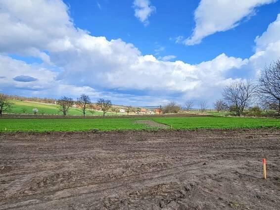 Prodej Pozemek, Drnholec, okres Břeclav