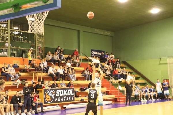 Sokol Pražský - GBA LIONS Jindřichův Hradec | Sokol Pražský