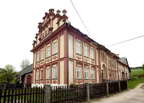 Borovnice v detailu i z výšky