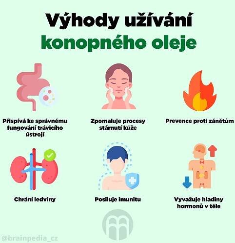 Konopný olej - výhody, účinky a jeho použití v kuchyni