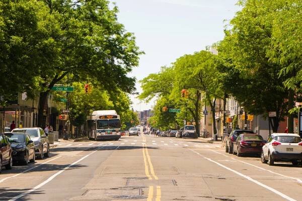 pest control in greenpoint and williamsburg