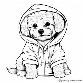 Different Coat Maltipoo Varieties Coloring Pages 2