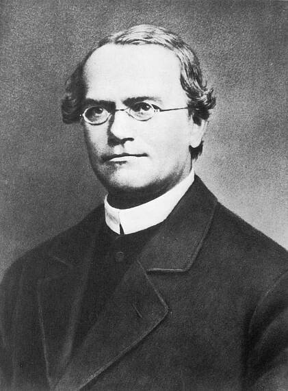 Soubor:Gregor Mendel 2.jpg – Wikipedie