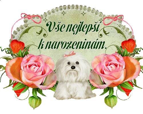 Přání a gratulace - diskuze k tématu - stránka 2 - TopRecepty.cz