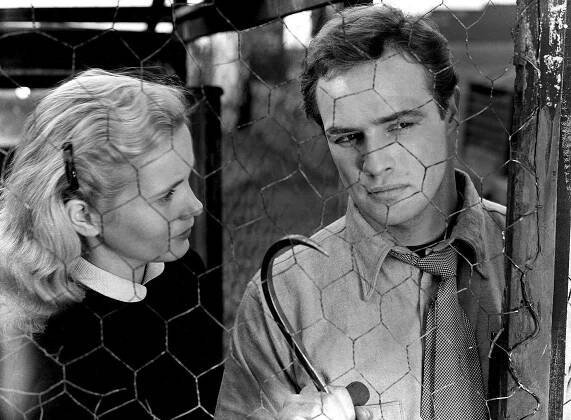 94174688_DC_Brando_Water-03