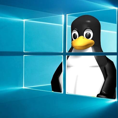 Porting Linux's eBPF to Windows 10 and Windows Server