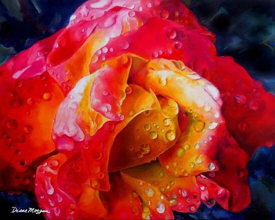 Morgan 14 Rainy Day Rose oil on canvas 24 x 30